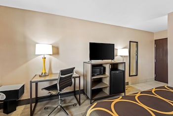 Room, 1 King Bed, Non Smoking