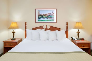 Room, 1 King Bed, Accessible