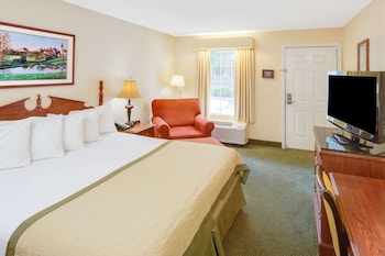 Room, 1 King Bed