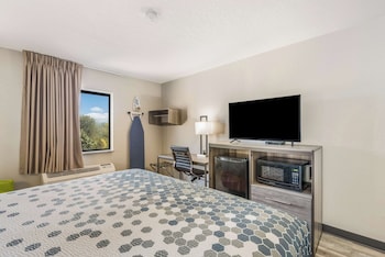 Room, 1 King Bed
