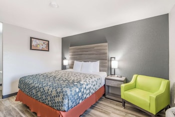 Room, 1 King Bed