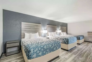 Suite, Multiple Beds