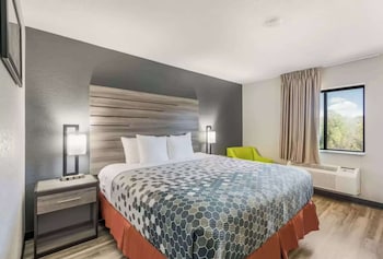 Room, 1 Queen Bed