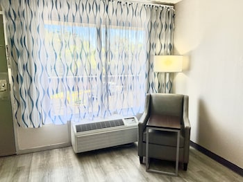 Room, 1 King Bed, Non Smoking (Pet Friendly)