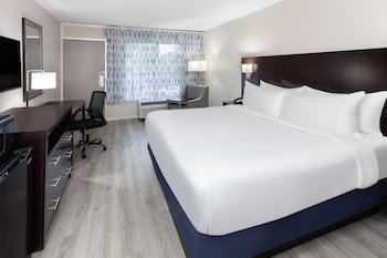 Room, 1 King Bed, Non Smoking (Pet Friendly)