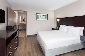 Room, 1 Queen Bed, Accessible, Non Smoking (Mobility Accessible, Pet-Friendly)