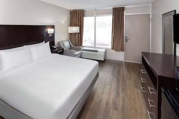 Room, 1 King Bed, Non Smoking (Pet Friendly)