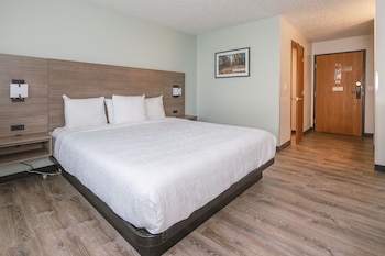 Standard Room, 1 King Bed, Roll-in Shower, Ground Floor