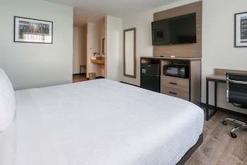 Standard Room, 1 King Bed, Roll-in Shower, Ground Floor