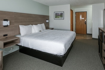 Standard Room, 1 King Bed, Walk Up