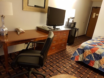 Comfort Single Room