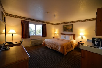 Executive Room, 1 King Bed, Refrigerator & Microwave