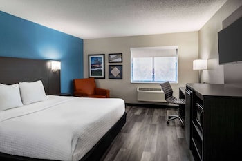 Room, 1 King Bed, Non Smoking