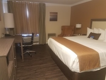 Room, 1 King Bed, Non Smoking (Pets Welcome)