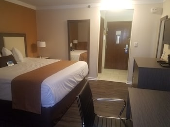 Room, 1 King Bed, Non Smoking (Pets Welcome)