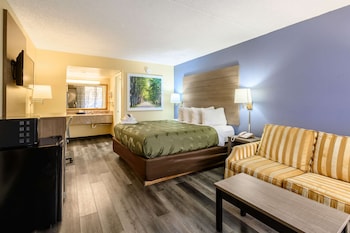 Room, 1 King Bed, Non Smoking