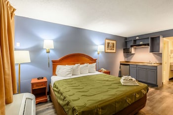 Room, 1 King Bed, Non Smoking