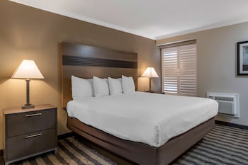 Executive Room, 1 King Bed, Non Smoking, Refrigerator & Microwave