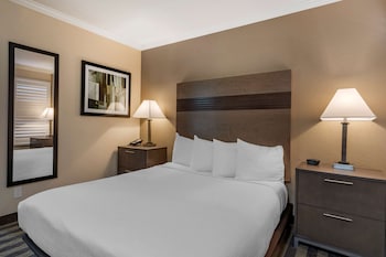 Standard Room, 1 Queen Bed, Accessible, Non Smoking (Walk-in Shower)