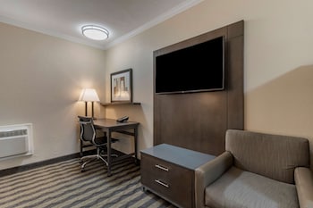 Standard Room, 1 King Bed, Non Smoking, Refrigerator & Microwave (Shower Only)