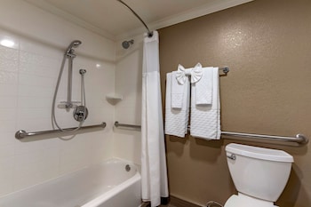 Standard Room, 1 King Bed, Accessible, Bathtub