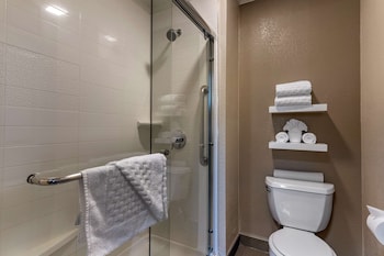 Standard Room, 1 King Bed, Non Smoking, Refrigerator & Microwave (Shower Only)