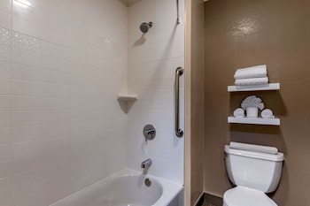 Executive Room, 1 King Bed, Non Smoking, Refrigerator & Microwave