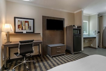 Standard Room, 1 Queen Bed, Accessible, Non Smoking (Walk-in Shower)