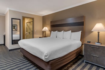 Standard Room, 1 King Bed, Non Smoking, Refrigerator & Microwave (Shower Only)