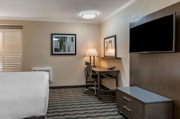 Executive Room, 1 King Bed, Non Smoking, Refrigerator & Microwave