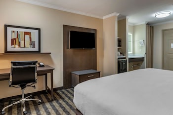 Executive Room, 1 King Bed, Non Smoking, Refrigerator & Microwave