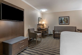 Standard Room, 1 King Bed, Non Smoking, Refrigerator & Microwave (with Sofabed)