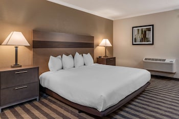 Standard Room, 1 King Bed, Accessible, Bathtub