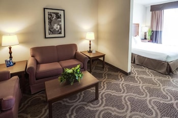 Suite, 1 Queen Bed, Non Smoking (Accessible)