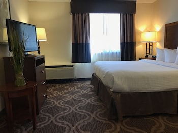 Non Smoking King Suite