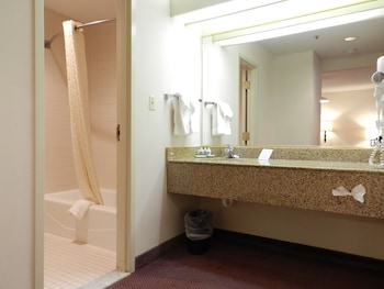Non Smoking King Suite