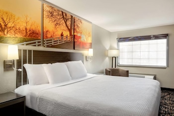 Standard Room, 1 King Bed, Smoking
