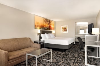 Standard Room, 1 King Bed, Non-Smoking