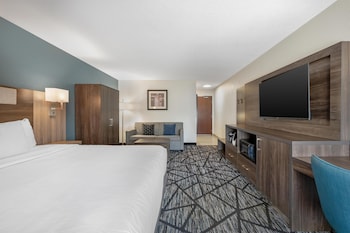 Standard Room, 1 King Bed, Accessible, Bathtub (with Sofabed)