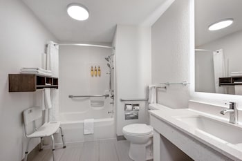 Standard Room, 1 King Bed, Accessible, Bathtub (with Sofabed)