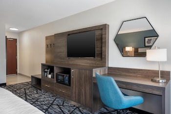 Standard Room, 1 King Bed, Accessible, Bathtub (with Sofabed)