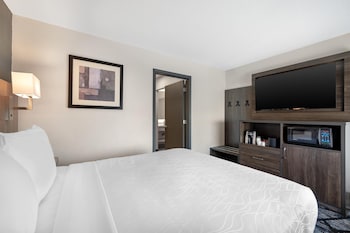 Suite, 1 Queen Bed, Non Smoking, Refrigerator & Microwave (with Sofabed)