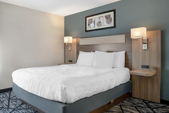 Standard Room, 1 King Bed, Non Smoking, Refrigerator & Microwave (with Sofabed)