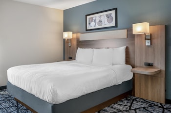 Standard Room, 1 King Bed, Accessible, Non Smoking (Walk-in Shower;with Sofabed)