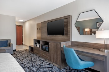 Standard Room, 1 King Bed, Accessible, Non Smoking (Walk-in Shower;with Sofabed)