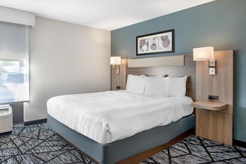 Standard Room, 1 King Bed, Accessible, Bathtub (with Sofabed)