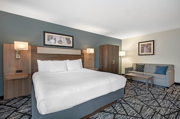 Standard Room, 1 King Bed, Accessible, Non Smoking (Walk-in Shower;with Sofabed)