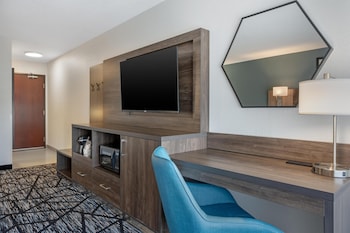 Standard Room, 1 King Bed, Non Smoking, Refrigerator & Microwave (with Sofabed)