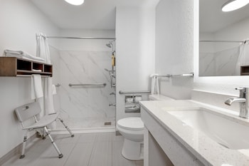 Standard Room, 1 King Bed, Accessible, Non Smoking (Walk-in Shower;with Sofabed)