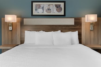 Standard Room, 1 King Bed, Non Smoking, Refrigerator & Microwave (with Sofabed)